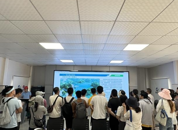 图片13