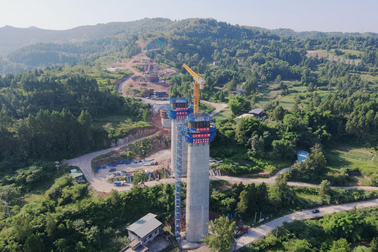 图片3