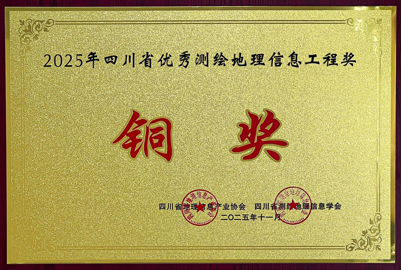 2025年四川省优秀测绘地理信息工程奖铜奖